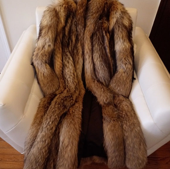 Full length finn Racoon